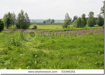 Сільська місцевість в Україні - фотобанк Shutterstock