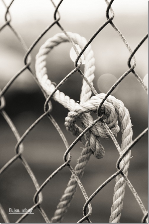 A rope